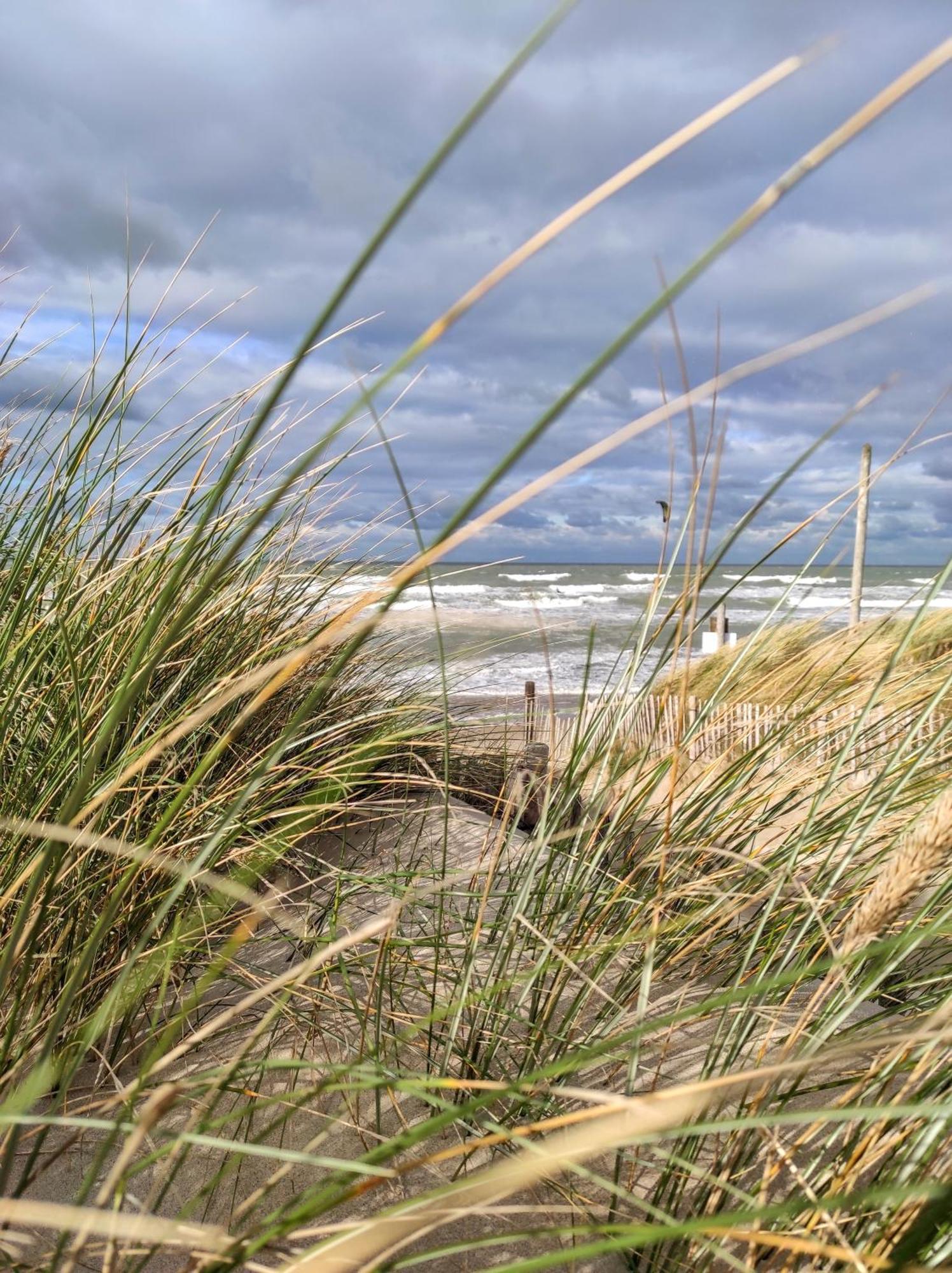 Maison Familiale De Vacances Bray-Dunes Buitenkant foto